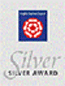 ETC Silver Award